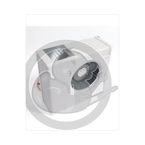 Ventilateur chauffe eau Aeromax VMC Thermor 023579 022793