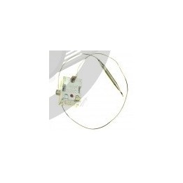 Thermostat réglable friteuse Delonghi LN1159