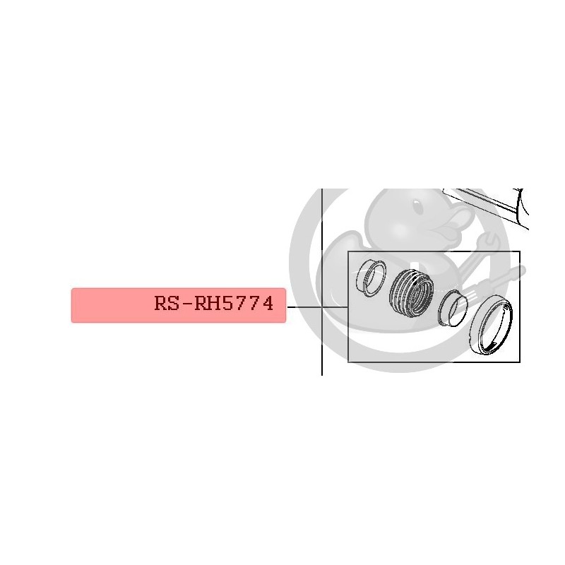 Courroie d'electro-brosse RS-RH4925 - Pièces aspirateur