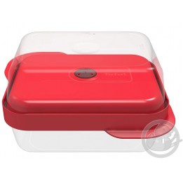 Master seal box set de 2 boites rectangulaires Tefal K2198214