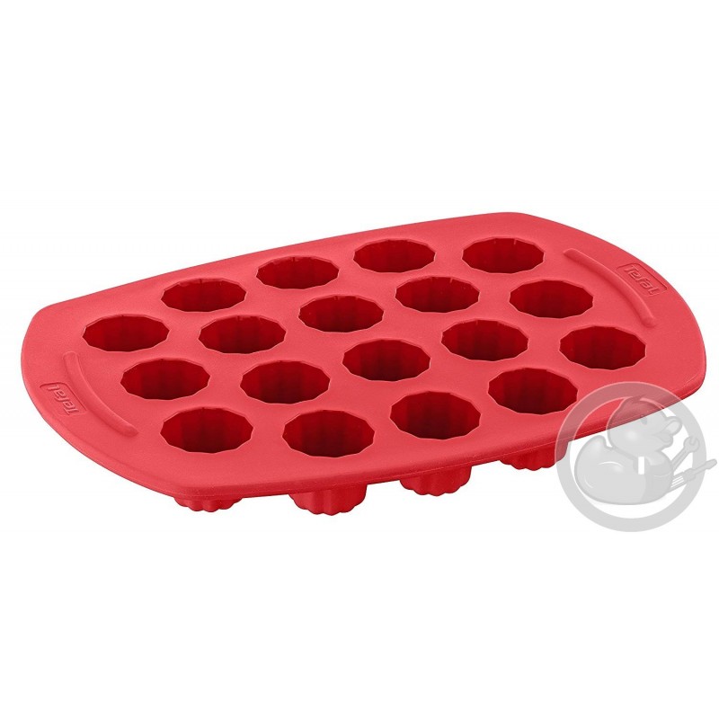 Proflex moule à mini cannelés x 18 framboise Tefal J4091213 - Coin